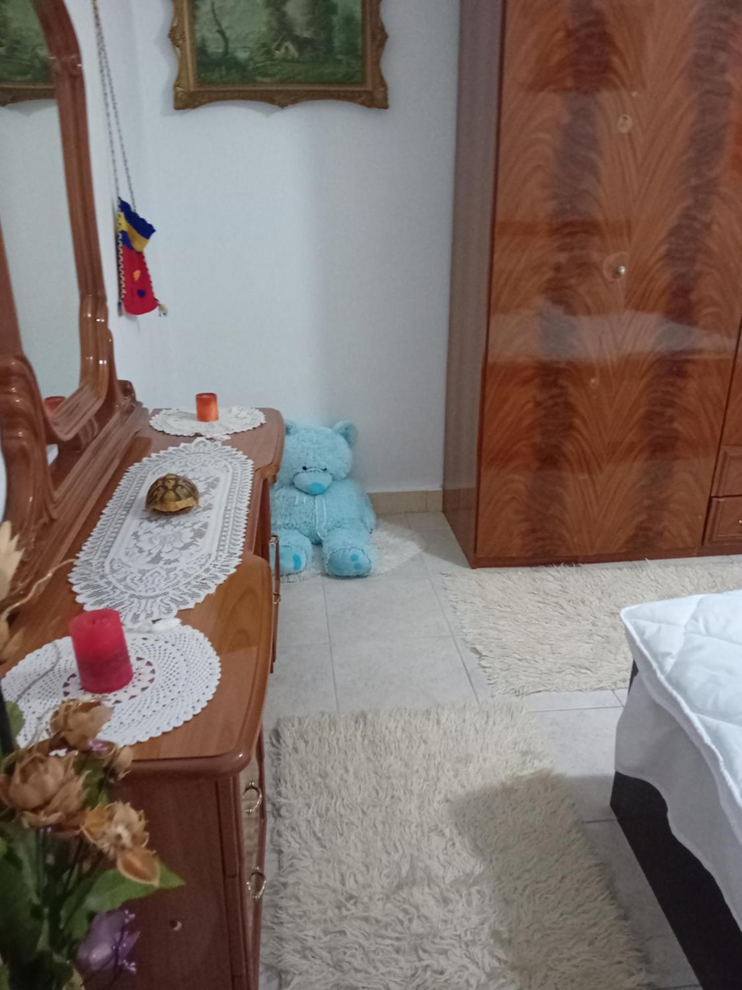 Olivia Guesthouse Gjirokastër Eksteriør bilde